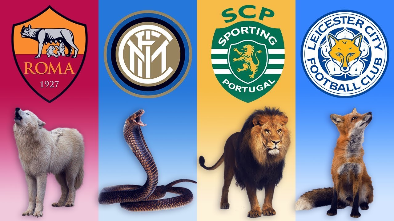 Soccer Club Nicknames: The Meaning & Reasons Behind Them