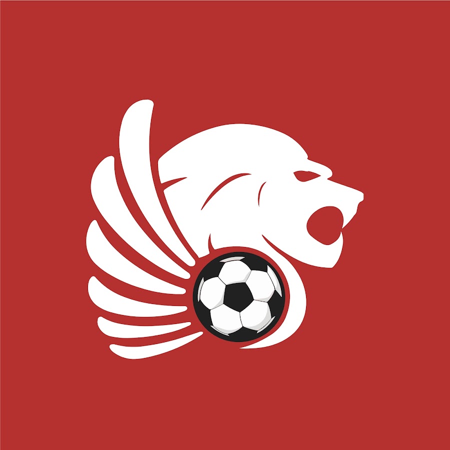 https://cheapgoals.com/10-footballers-with-the-most-red-cards-in-history/